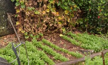 Venta hermosa Casa Finca, Sabaneta Copacabana, Antioquia.