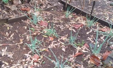 Venta hermosa Casa Finca, Sabaneta Copacabana, Antioquia.