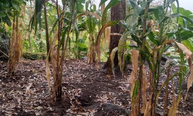 Venta hermosa Casa Finca, Sabaneta Copacabana, Antioquia.
