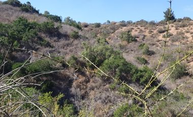 Gran parcela de 12,7ha en Casablanca. $220.000.000