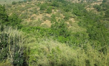 Gran parcela de 12,7ha en Casablanca. $220.000.000
