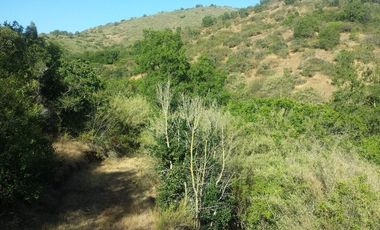 Gran parcela de 12,7ha en Casablanca. $220.000.000