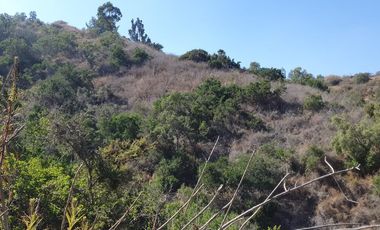 Gran parcela de 12,7ha en Casablanca. $220.000.000