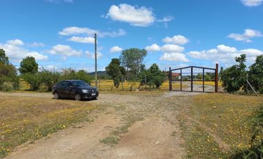 Se venden terrenos de 5000 m2 en Lago Colbun Machicura sector Invernada