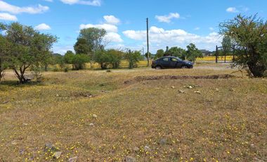 Se venden terrenos de 5000 m2 en Lago Colbun Machicura sector Invernada