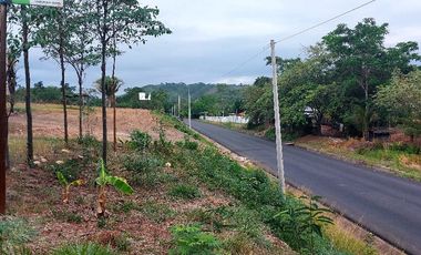 Si, tú, el que tiene planes 'grandes' para Tarapoto: 1.7 ha a pie de la Marginal te están esperando. Hotel, almacén, grifo...hazlo realidad aquí.