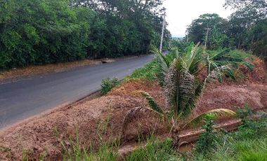Si, tú, el que tiene planes 'grandes' para Tarapoto: 1.7 ha a pie de la Marginal te están esperando. Hotel, almacén, grifo...hazlo realidad aquí.
