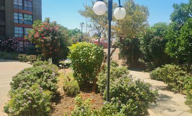 Arriendo calle Herrera cercano a Alameda