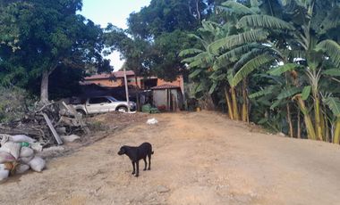 SE VENDE O PERMUTA FINCA  POR MENOR VALOR EN ARMERO GUAYABAL