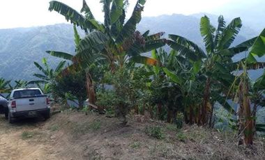 SE VENDE O PERMUTA FINCA  POR MENOR VALOR EN ARMERO GUAYABAL