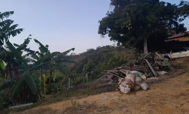 SE VENDE O PERMUTA FINCA  POR MENOR VALOR EN ARMERO GUAYABAL