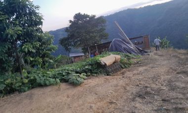 SE VENDE O PERMUTA FINCA  POR MENOR VALOR EN ARMERO GUAYABAL