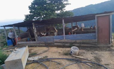 SE VENDE O PERMUTA FINCA  POR MENOR VALOR EN ARMERO GUAYABAL