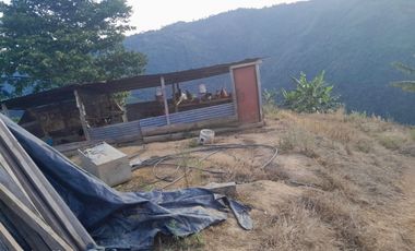 SE VENDE O PERMUTA FINCA  POR MENOR VALOR EN ARMERO GUAYABAL