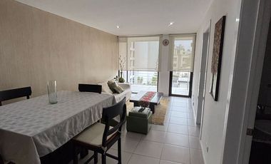 Arriendo suite con balcón amoblado