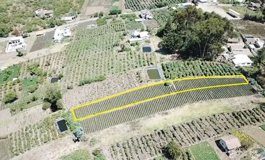 Terreno en Tisaleo San Francisco