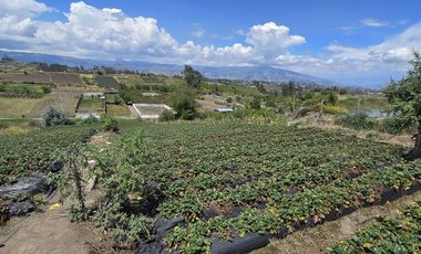 Terreno en Tisaleo San Francisco