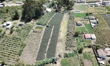 Terreno en Tisaleo San Francisco