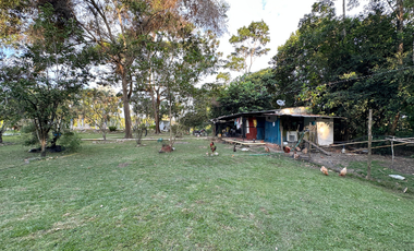 Finca en la vereda la llanerita
