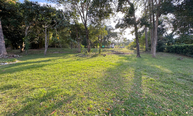 Finca en la vereda la llanerita