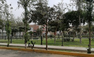 Venta Terreno En Los Olivos De 160M2 En Urb. Parque Naranjal