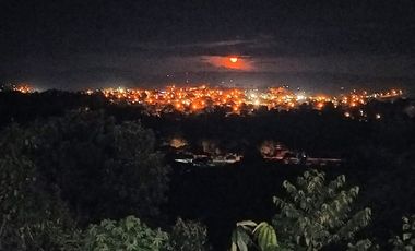 Quinta en venta - Tena