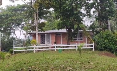 Quinta en venta - Tena