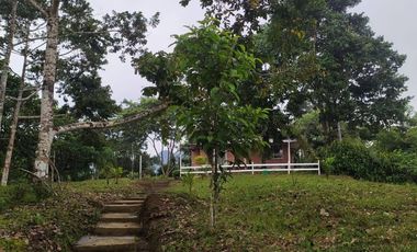 Quinta en venta - Tena