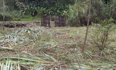Terreno en venta - Mindo cerca a Reserva Miraflores
