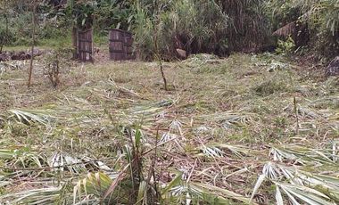 Terreno en venta - Mindo cerca a Reserva Miraflores