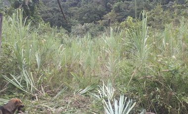 Terreno en venta - Mindo cerca a Reserva Miraflores