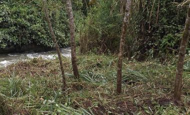 Terreno en venta - Mindo cerca a Reserva Miraflores