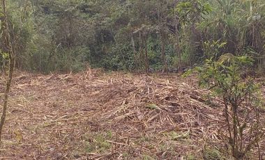 Terreno en venta - Mindo cerca a Reserva Miraflores