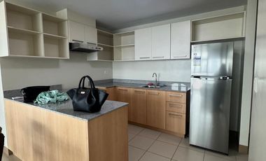 Noble Place Binondo Chinatown Manila - Brand New 2 Bedroom Unit with High End Appliances - Rush Sale!
