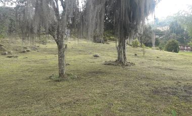 Venta hermoso Lote, Vda Quebrada Arriba, Copacabana Antioquia.