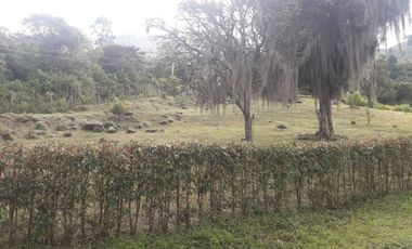 Venta hermoso Lote, Vda Quebrada Arriba, Copacabana Antioquia.