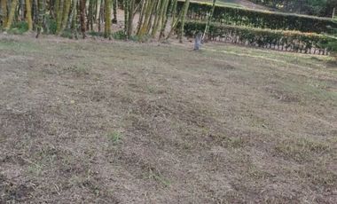 Venta hermoso Lote, Vda Quebrada Arriba, Copacabana Antioquia.