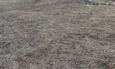 Venta hermoso Lote, Vda Quebrada Arriba, Copacabana Antioquia.