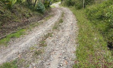 Terreno de venta en Otavalo - Patalanga, 1803 m2