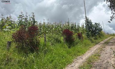 Terreno de venta en Otavalo - Patalanga, 1803 m2