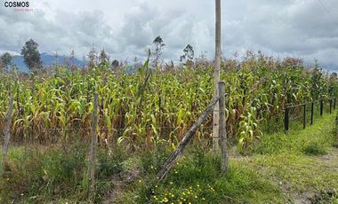 Terreno de venta en Otavalo - Patalanga, 1803 m2