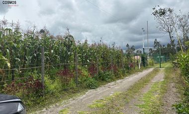 Terreno de venta en Otavalo - Patalanga, 1803 m2