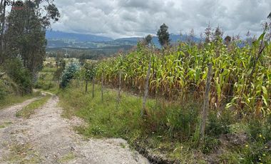 Terreno de venta en Otavalo - Patalanga, 1803 m2