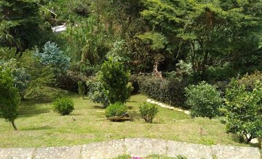 Venta hermosa Finca, Vereda Quebrada Arriba, Copacabana Antioquia.