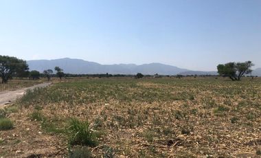 TERRENO EN VENTA CEDROS - LA CAPILLA . IXTLAHUACAN DE LOS MEMBRILLOS