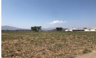 TERRENO EN VENTA CEDROS - LA CAPILLA . IXTLAHUACAN DE LOS MEMBRILLOS