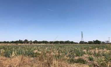 TERRENO EN VENTA CEDROS - LA CAPILLA . IXTLAHUACAN DE LOS MEMBRILLOS
