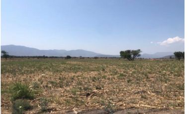 TERRENO EN VENTA CEDROS - LA CAPILLA . IXTLAHUACAN DE LOS MEMBRILLOS