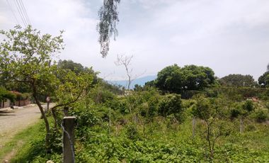 TERRENO EN VENTA AJIJIC CHAPALA