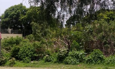 TERRENO EN VENTA AJIJIC CHAPALA